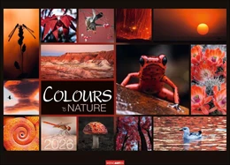Abbildung von Colours of Nature Kalender 2026 | 1. Auflage | 2025 | beck-shop.de