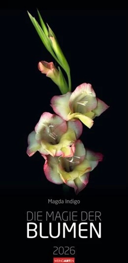 Abbildung von Die Magie der Blumen Kalender 2026 | 1. Auflage | 2025 | beck-shop.de