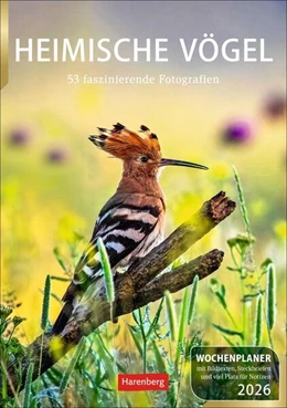 Abbildung von Hattstein | Heimische Vögel Wochenplaner 2026 - 53 faszinierende Fotografien | 1. Auflage | 2025 | beck-shop.de