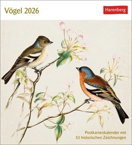 Abbildung von Vögel Postkartenkalender 2026 - Postkartenkalender mit 53 historischen Zeichnungen | 1. Auflage | 2025 | beck-shop.de