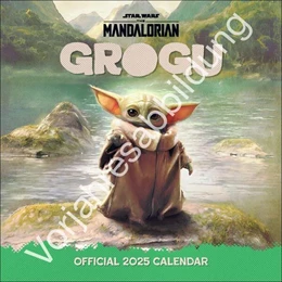Abbildung von Heye | The Mandalorian Broschurkalender 2026 | 1. Auflage | 2025 | beck-shop.de