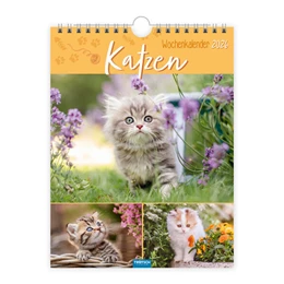 Abbildung von Trötsch Verlag GmbH & Co. KG | Trötsch Wochenkalender zum Hängen Katzen 2026 | 1. Auflage | 2025 | beck-shop.de