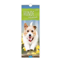 Abbildung von Trötsch Verlag GmbH & Co. KG | Trötsch Streifenkalender Hunde 2026 Notizkalender | 1. Auflage | 2025 | beck-shop.de