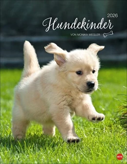 Abbildung von Hundekinder Posterkalender 2026 | 1. Auflage | 2025 | beck-shop.de