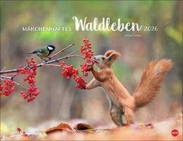 Abbildung von Vadim Trunov: Märchenhaftes Waldleben Posterkalender 2026 | 1. Auflage | 2025 | beck-shop.de