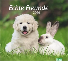 Abbildung von Heye | times&more Echte Freunde Bildkalender 2026 | 1. Auflage | 2025 | beck-shop.de