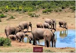 Abbildung von Wilde Tiere Afrikas Kalender 2026 24x35cm | Naturfotografie | Tierfauna Afrikas | Wandkalender mit Tiermotiven | Geschenk für Naturliebhaber | 1. Auflage | 2025 | beck-shop.de