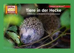Abbildung von Tiere in der Hecke / Kamishibai Bildkarten | 1. Auflage | 2025 | beck-shop.de