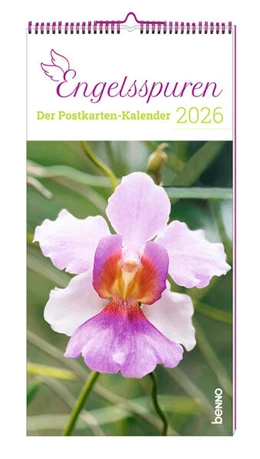 Abbildung von Engelsspuren 2026 | 1. Auflage | 2025 | beck-shop.de