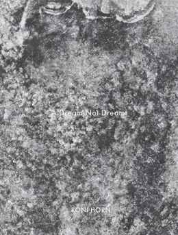Abbildung von Horn | A Dream Not Dreamt | 1. Auflage | 2025 | beck-shop.de