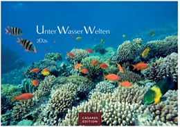 Abbildung von Unterwasserwelten Kalender 2026 24x35cm - Atemberaubende Meereslandschaften & Korallenriffe. | 1. Auflage | 2025 | beck-shop.de