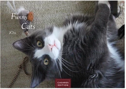 Abbildung von Funny Cats Kalender 2026 - Wandkalender | Fotokalender Tierkalender 24x35cm - Witziger Katzenkalender | 1. Auflage | 2025 | beck-shop.de