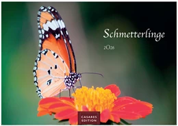 Abbildung von Schmetterlinge Kalender 2026 35x50cm Grosses Format - Mit wunderschönen, detailreichen Bildern von Schmetterlingen. | 1. Auflage | 2025 | beck-shop.de