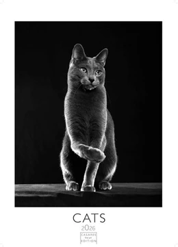 Abbildung von Cats Kalender schwarz-weiss 2026 Grosses Format 59x42cm. - Katzenkalender | Perfekt für Katzenliebhaber und Tierfans | 1. Auflage | 2025 | beck-shop.de