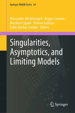 Abbildung von Michelangeli / Cassano | Singularities, Asymptotics, and Limiting Models | 1. Auflage | 2025 | 64 | beck-shop.de