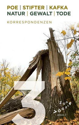 Abbildung von Rademacher | Poe - Stifter - Kafka: Natur - Gewalt - Tode | 1. Auflage | 2025 | beck-shop.de