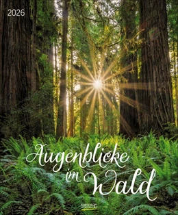 Abbildung von Korsch | Augenblicke im Wald 2026 | 1. Auflage | 2025 | beck-shop.de