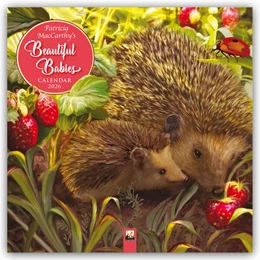 Abbildung von Flame | Patricia MacCarthy's Beautiful Babies - Wunderschöne Tierbabys 2026 - Original Flame Tree Publishing-Kalender [Kalender] | 1. Auflage | 2025 | beck-shop.de