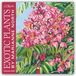Abbildung von Flame | Marianne North, Exotic Plants - Exotische Pflanzen 2026 - Original Flame Tree Publishing-Kalender [Kalender] | 1. Auflage | 2025 | beck-shop.de