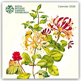 Abbildung von Flame | Royal Botanic Garden Edinburgh - Pflanzen 2026 - Original Flame Tree Publishing-Kalender [Kalender] | 1. Auflage | 2025 | beck-shop.de