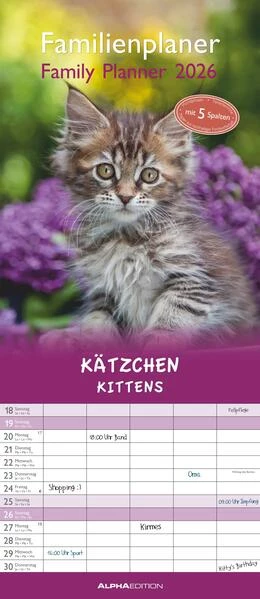 Abbildung von Alpha Edition | Kätzchen 2026 Familienplaner - Familienkalender - Wandkalender - 19,5x45 | 1. Auflage | 2025 | beck-shop.de