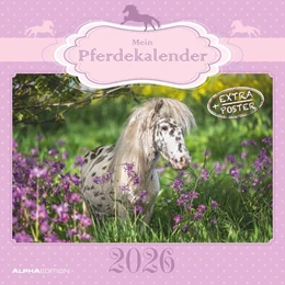 Abbildung von Alpha Edition | Mein Pferdekalender 2026 - Broschürenkalender 30x30 cm (30x60 geöffnet) - Kalender mit Platz für Notizen - Bildkalender - Wandplaner - Wandkalender | 1. Auflage | 2025 | beck-shop.de