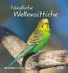 Abbildung von Alpha Edition | Niedliche Wellensittiche 2026 - Postkartenkalender 16x17 cm - Budgies - zum Aufstellen oder Aufhängen - Monatskalendarium - Gadget - Mitbringsel - Alpha Edition | 1. Auflage | 2025 | beck-shop.de