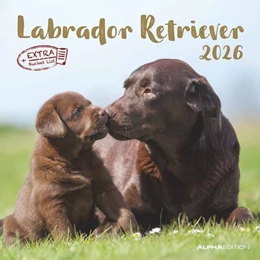 Abbildung von Alpha Edition | Labrador Retriever 2026 - Broschürenkalender 30x30 cm (30x60 geöffnet) - Kalender mit Platz für Notizen - Dachshund - Bildkalender - Wandplaner - Dackelkalender | 1. Auflage | 2025 | beck-shop.de