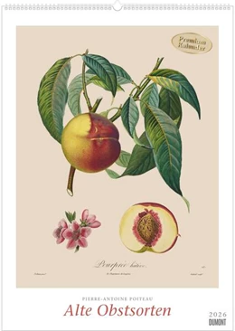 Abbildung von DUMONT Kalender | Pierre Antoine Poiteau: Alte Obstsorten 2026 - DUMONT Kunst-Kalender - Poster-Format 50 x 70 cm | 1. Auflage | 2025 | beck-shop.de