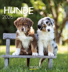 Abbildung von Korsch | Hunde 2026 | 1. Auflage | 2025 | beck-shop.de