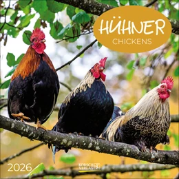Abbildung von Korsch | Hühner 2026 | 1. Auflage | 2025 | beck-shop.de
