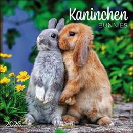 Abbildung von Korsch | Kaninchen 2026 | 1. Auflage | 2025 | beck-shop.de
