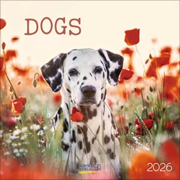 Abbildung von Korsch | Dogs 2026 | 1. Auflage | 2025 | beck-shop.de