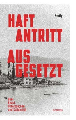 Abbildung von Smily | Haftantritt ausgesetzt | 1. Auflage | 2025 | beck-shop.de