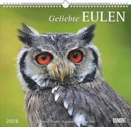 Abbildung von DUMONT Kalender | Geliebte Eulen 2026 - DUMONT Wandkalender - mit den wichtigsten Feiertagen - Format 38,0 x 35,5 cm | 1. Auflage | 2025 | beck-shop.de