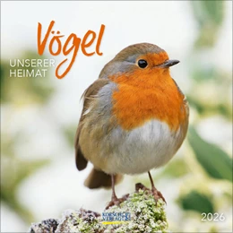 Abbildung von Korsch | Vögel 2026 | 1. Auflage | 2025 | beck-shop.de