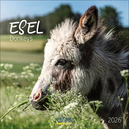 Abbildung von Korsch | Esel 2026 | 1. Auflage | 2025 | beck-shop.de