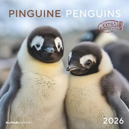 Abbildung von Alpha Edition | Pinguine 2026 - Broschürenkalender 30x30 cm (30x60 geöffnet) - Kalender mit Platz für Notizen - Penguins - Bildkalender - Wandplaner - Wandkalender | 1. Auflage | 2025 | beck-shop.de
