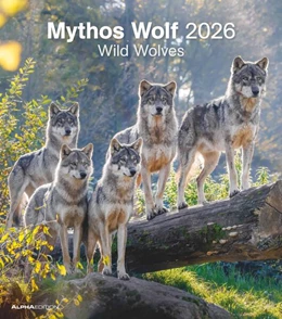 Abbildung von Alpha Edition | Mythos Wolf 2026 - Foto-Kalender - Wand-Kalender - 30x34 | 2. Auflage | 2025 | beck-shop.de