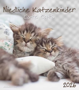 Abbildung von Alpha Edition | Niedliche Katzenkinder 2026 - Wand-Kalender - Tier-Kalender - 30x34 | 1. Auflage | 2025 | beck-shop.de