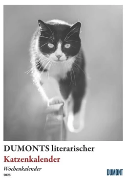 Abbildung von Schmidt | DUMONTS Katzenkalender | 1. Auflage | 2025 | beck-shop.de