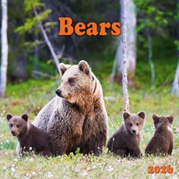 Abbildung von Bears 2026 | 1. Auflage | 2025 | beck-shop.de