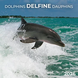 Abbildung von Delfine/Dolphins 2026 | 1. Auflage | 2025 | beck-shop.de