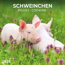 Abbildung von Schweinchen/Piggies 2026 | 1. Auflage | 2025 | beck-shop.de