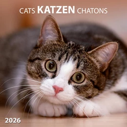 Abbildung von Katzen/Cats 2026 | 1. Auflage | 2025 | beck-shop.de