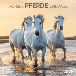 Abbildung von Pferde/Horses 2026 | 1. Auflage | 2025 | beck-shop.de