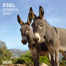 Abbildung von Esel/Donkey 2026 | 1. Auflage | 2025 | beck-shop.de