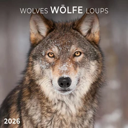 Abbildung von Wölfe/Wolves 2026 | 1. Auflage | 2025 | beck-shop.de