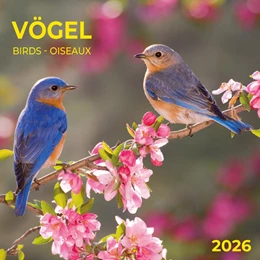 Abbildung von Heimische Vögel 2026 | 1. Auflage | 2025 | beck-shop.de