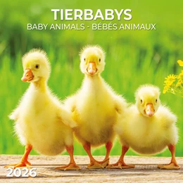 Abbildung von Tierbabys/Baby Animals 2026 | 1. Auflage | 2025 | beck-shop.de